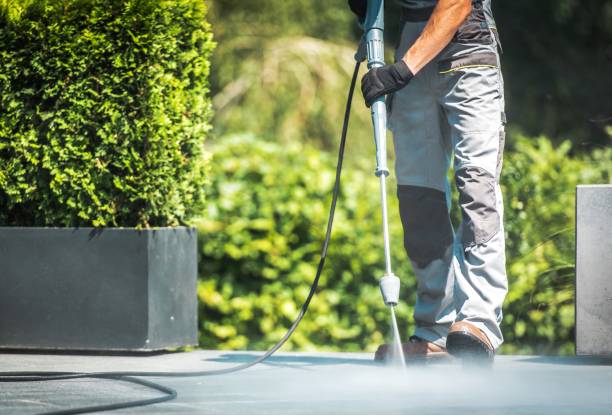 Professional Pressure Washing Services in Brilliant, AL