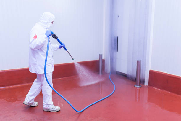 Best Boat and Dock Cleaning  in Brilliant, AL